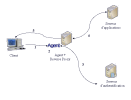 reverse proxy